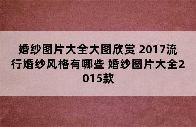 婚纱图片大全大图欣赏 2017流行婚纱风格有哪些 婚纱图片大全2015款